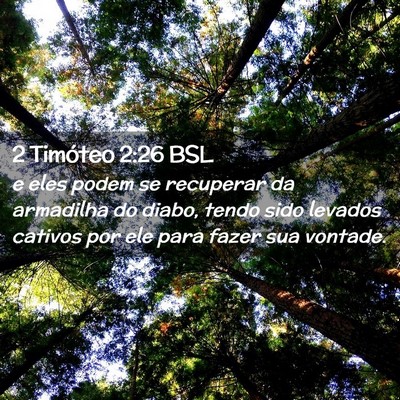 Picture 02 - 2 Timóteo 2:26 BSL - e eles podem se recuperar da armadilha do diabo, - Bible Verse Picture
