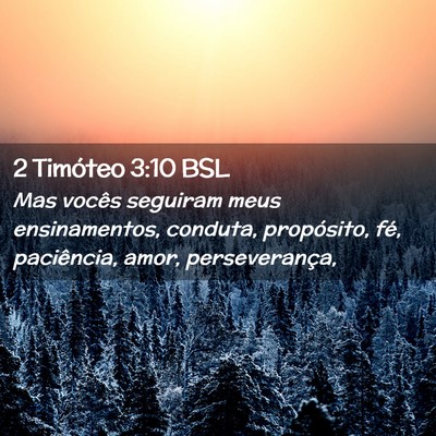 Picture 02 - 2 Timóteo 3:10 BSL - Mas vocês seguiram meus ensinamentos, conduta, - Bible Verse Picture