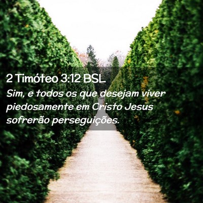Picture 02 - 2 Timóteo 3:12 BSL - Sim, e todos os que desejam viver piedosamente em - Bible Verse Picture