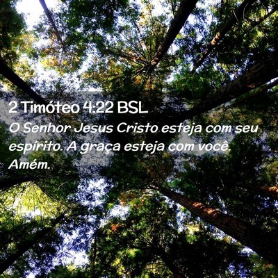 Picture 02 - 2 Timóteo 4:22 BSL - O Senhor Jesus Cristo esteja com seu espírito. A - Bible Verse Picture