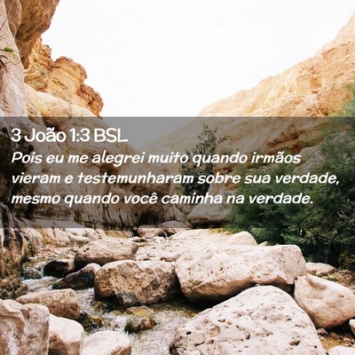 Picture 02 - 3 João 1:3 BSL - Pois eu me alegrei muito quando irmãos vieram e - Bible Verse Picture