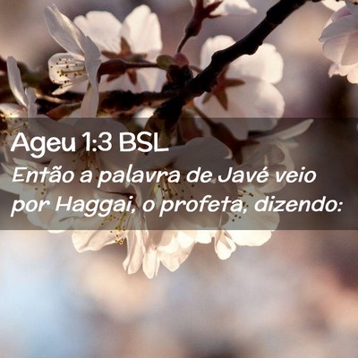 Picture 02 - Ageu 1:3 BSL - Então a palavra de Javé veio por Haggai, o - Bible Verse Picture