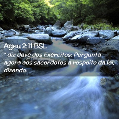 Picture 02 - Ageu 2:11 BSL - “ diz Javé dos Exércitos: Pergunta agora aos - Bible Verse Picture
