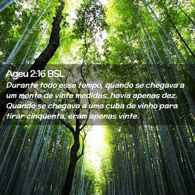Picture 02 - Ageu 2:16 BSL - Durante todo esse tempo, quando se chegava a um - Bible Verse Picture