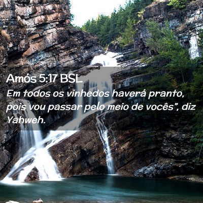 Picture 02 - Amós 5:17 BSL - Em todos os vinhedos haverá pranto, pois vou - Bible Verse Picture