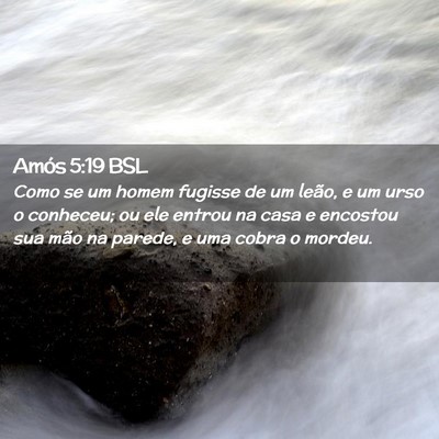 Picture 02 - Amós 5:19 BSL - Como se um homem fugisse de um leão, e um urso o - Bible Verse Picture