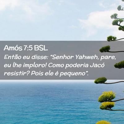 Picture 02 - Amós 7:5 BSL - Então eu disse: “Senhor Yahweh, pare, eu lhe - Bible Verse Picture