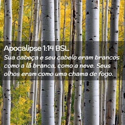 Picture 02 - Apocalipse 1:14 BSL - Sua cabeça e seu cabelo eram brancos como a lã - Bible Verse Picture