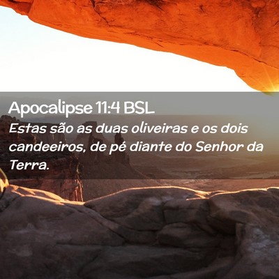 Picture 02 - Apocalipse 11:4 BSL - Estas são as duas oliveiras e os dois - Bible Verse Picture