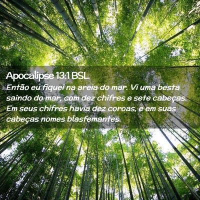 Picture 02 - Apocalipse 13:1 BSL - Então eu fiquei na areia do mar. Vi uma besta - Bible Verse Picture