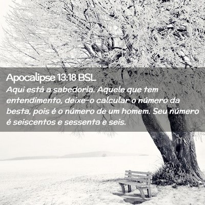 Picture 02 - Apocalipse 13:18 BSL - Aqui está a sabedoria. Aquele que tem - Bible Verse Picture