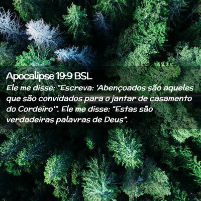 Picture 02 - Apocalipse 19:9 BSL - Ele me disse: “Escreva: 'Abençoados são - Bible Verse Picture