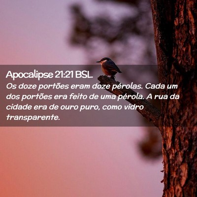 Picture 02 - Apocalipse 21:21 BSL - Os doze portões eram doze pérolas. Cada um dos - Bible Verse Picture