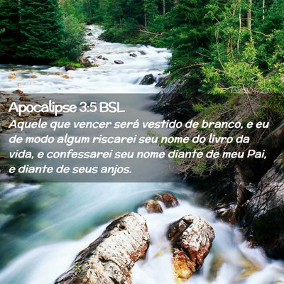 Picture 02 - Apocalipse 3:5 BSL - Aquele que vencer será vestido de branco, e eu - Bible Verse Picture