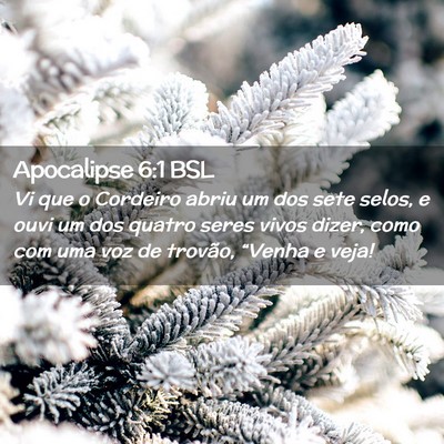 Picture 02 - Apocalipse 6:1 BSL - Vi que o Cordeiro abriu um dos sete selos, e ouvi - Bible Verse Picture