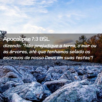 Picture 02 - Apocalipse 7:3 BSL - dizendo: “Não prejudique a terra, o mar ou as - Bible Verse Picture