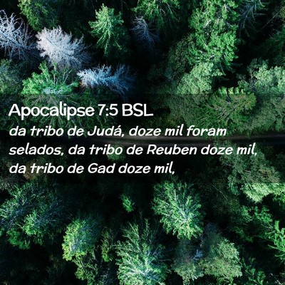 Picture 02 - Apocalipse 7:5 BSL - da tribo de Judá, doze mil foram selados, da - Bible Verse Picture