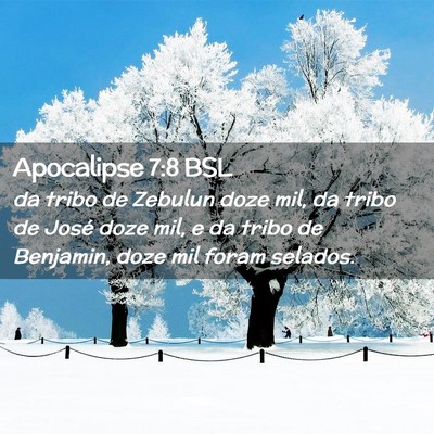 Picture 02 - Apocalipse 7:8 BSL - da tribo de Zebulun doze mil, da tribo de José - Bible Verse Picture