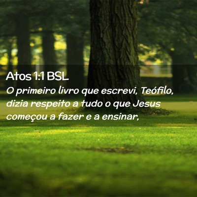 Picture 02 - Atos 1:1 BSL - O primeiro livro que escrevi, Teófilo, dizia - Bible Verse Picture