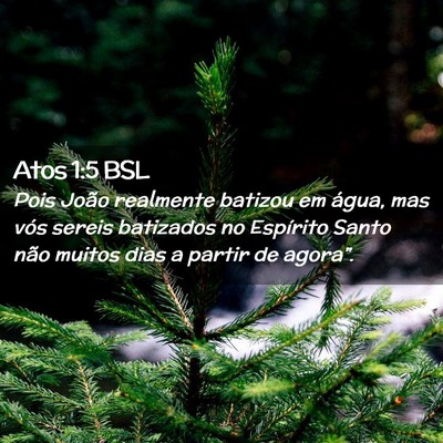Picture 02 - Atos 1:5 BSL - Pois João realmente batizou em água, mas vós - Bible Verse Picture