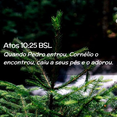 Picture 02 - Atos 10:25 BSL - Quando Pedro entrou, Cornélio o encontrou, caiu - Bible Verse Picture