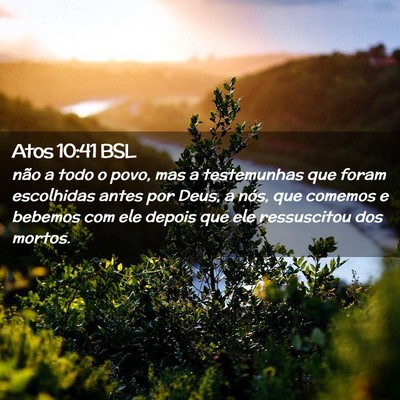 Picture 02 - Atos 10:41 BSL - não a todo o povo, mas a testemunhas que foram - Bible Verse Picture