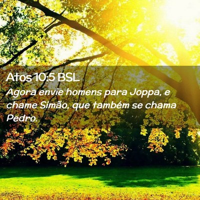 Picture 02 - Atos 10:5 BSL - Agora envie homens para Joppa, e chame Simão, - Bible Verse Picture