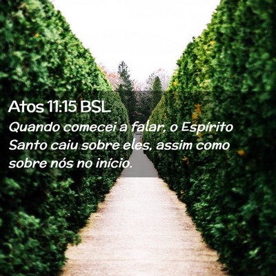 Picture 02 - Atos 11:15 BSL - Quando comecei a falar, o Espírito Santo caiu - Bible Verse Picture