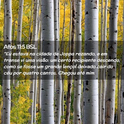 Picture 02 - Atos 11:5 BSL - “Eu estava na cidade de Joppa rezando, e em - Bible Verse Picture