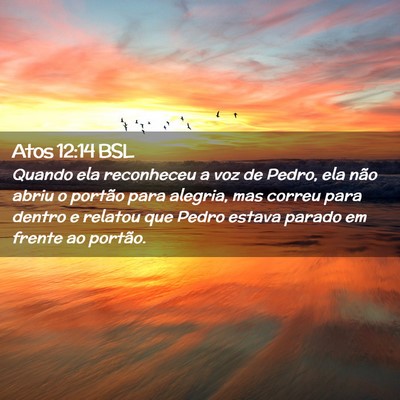 Picture 02 - Atos 12:14 BSL - Quando ela reconheceu a voz de Pedro, ela não - Bible Verse Picture