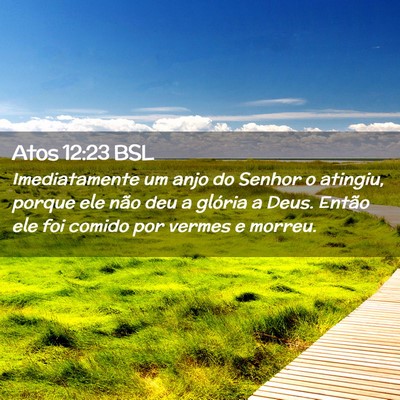 Picture 02 - Atos 12:23 BSL - Imediatamente um anjo do Senhor o atingiu, porque - Bible Verse Picture