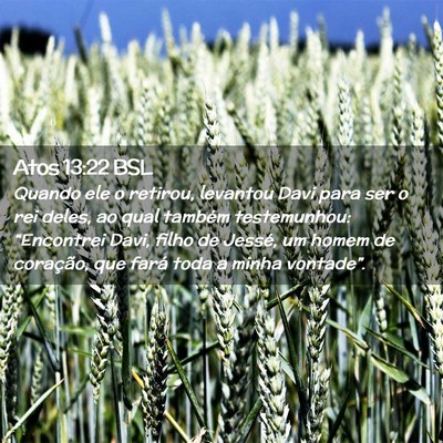 Picture 02 - Atos 13:22 BSL - Quando ele o retirou, levantou Davi para ser o - Bible Verse Picture