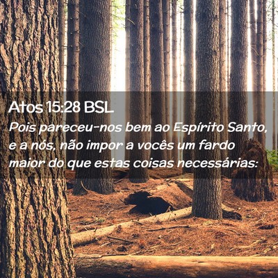 Picture 02 - Atos 15:28 BSL - Pois pareceu-nos bem ao Espírito Santo, e a - Bible Verse Picture