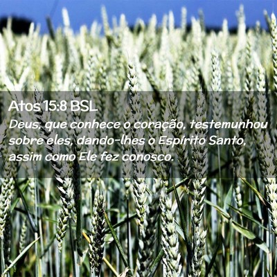 Picture 02 - Atos 15:8 BSL - Deus, que conhece o coração, testemunhou sobre - Bible Verse Picture