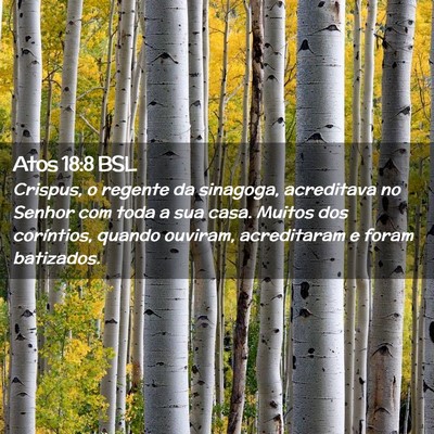 Picture 02 - Atos 18:8 BSL - Crispus, o regente da sinagoga, acreditava no - Bible Verse Picture