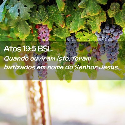 Picture 02 - Atos 19:5 BSL - Quando ouviram isto, foram batizados em nome do - Bible Verse Picture