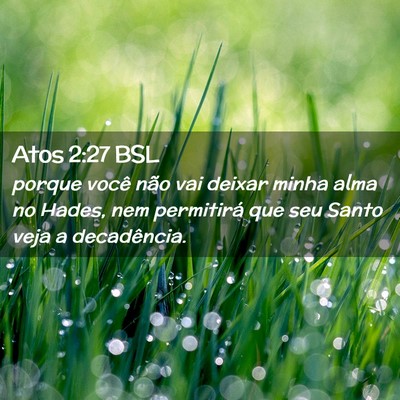 Picture 02 - Atos 2:27 BSL - porque você não vai deixar minha alma no Hades, - Bible Verse Picture