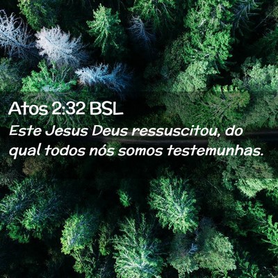 Picture 02 - Atos 2:32 BSL - Este Jesus Deus ressuscitou, do qual todos nós - Bible Verse Picture