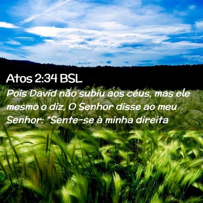 Picture 02 - Atos 2:34 BSL - Pois David não subiu aos céus, mas ele mesmo o - Bible Verse Picture