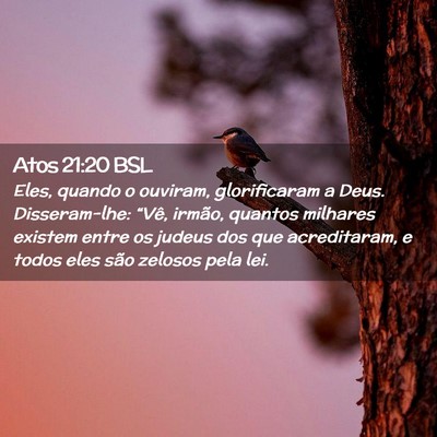 Picture 02 - Atos 21:20 BSL - Eles, quando o ouviram, glorificaram a Deus. - Bible Verse Picture