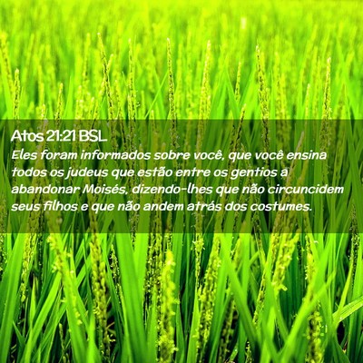 Picture 02 - Atos 21:21 BSL - Eles foram informados sobre você, que você - Bible Verse Picture