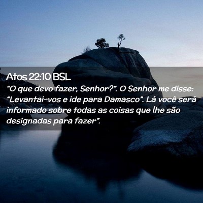 Picture 02 - Atos 22:10 BSL - “O que devo fazer, Senhor?”. O Senhor me - Bible Verse Picture