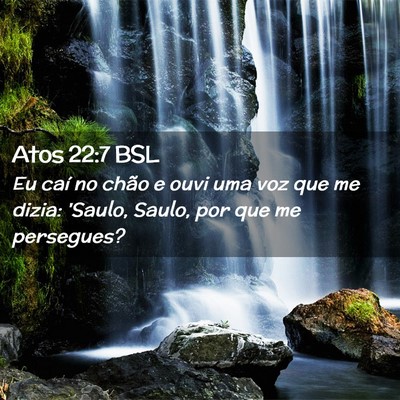 Picture 02 - Atos 22:7 BSL - Eu caí no chão e ouvi uma voz que me dizia: - Bible Verse Picture
