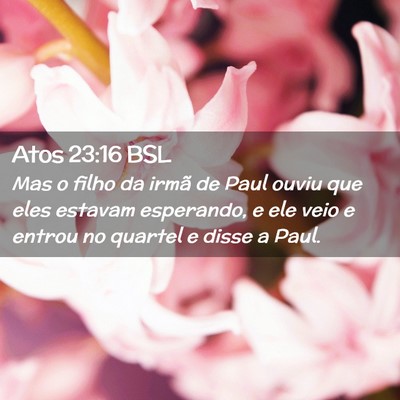 Picture 02 - Atos 23:16 BSL - Mas o filho da irmã de Paul ouviu que eles - Bible Verse Picture