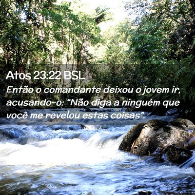 Picture 02 - Atos 23:22 BSL - Então o comandante deixou o jovem ir, - Bible Verse Picture