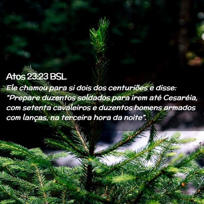 Picture 02 - Atos 23:23 BSL - Ele chamou para si dois dos centuriões e disse: - Bible Verse Picture