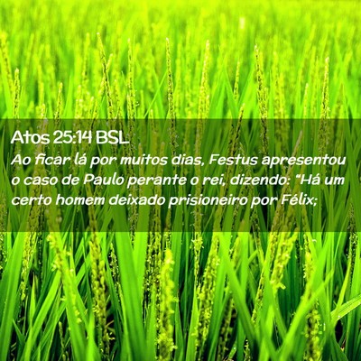 Picture 02 - Atos 25:14 BSL - Ao ficar lá por muitos dias, Festus apresentou o - Bible Verse Picture