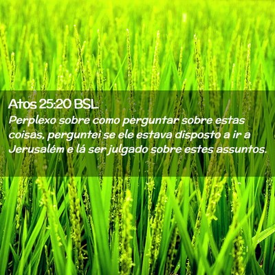 Picture 02 - Atos 25:20 BSL - Perplexo sobre como perguntar sobre estas coisas, - Bible Verse Picture