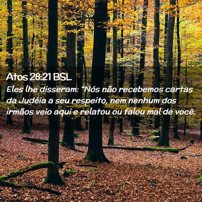 Picture 02 - Atos 28:21 BSL - Eles lhe disseram: “Nós não recebemos cartas - Bible Verse Picture