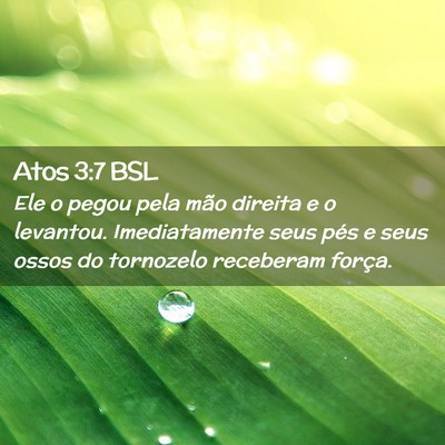 Picture 02 - Atos 3:7 BSL - Ele o pegou pela mão direita e o levantou. - Bible Verse Picture